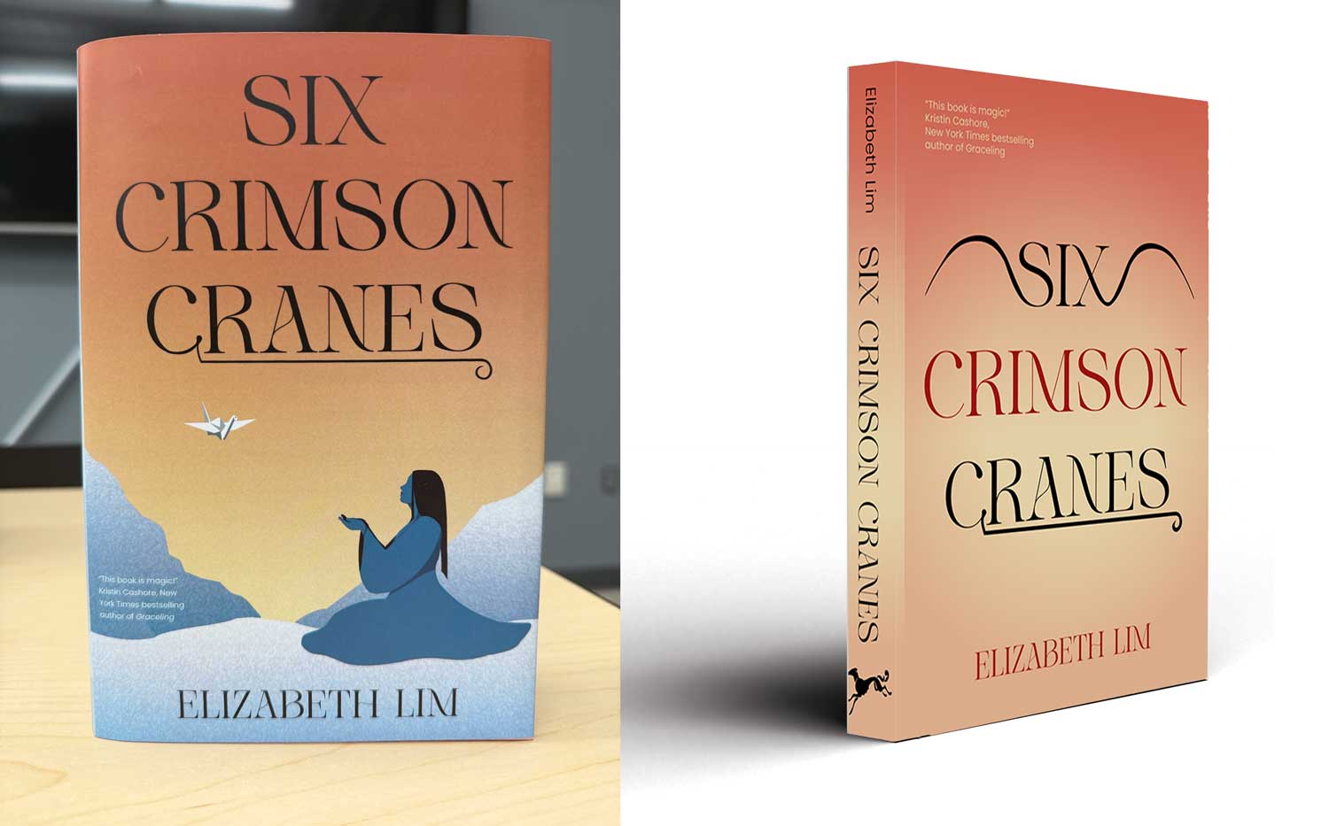 Cora Anderson, George Mason University, Spring 2026, cover designs