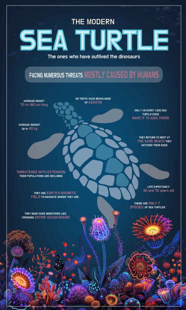 Reem Awad, Fall 2024, George Mason University, info graphic sea turtle