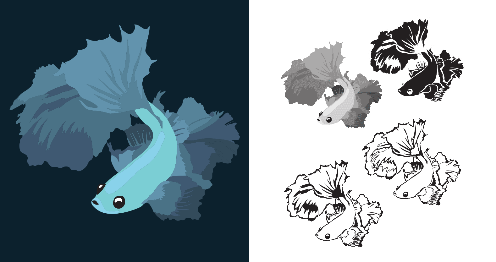 beta fish graphic translation