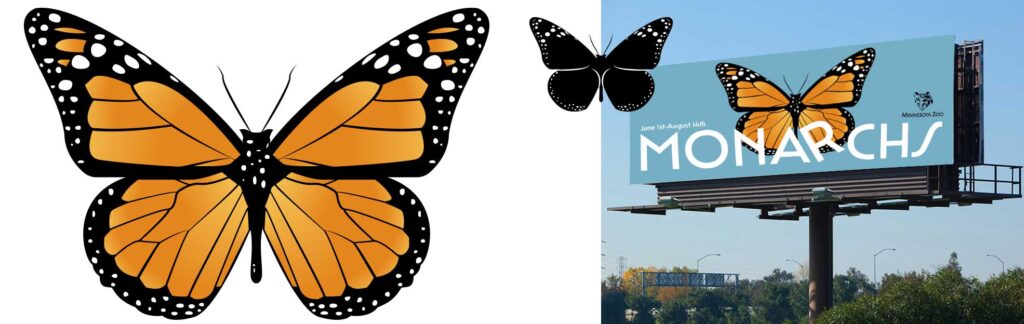 butterfly translation