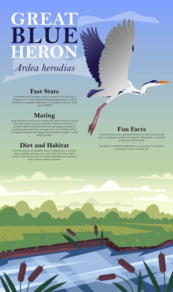 Michael Campbell, Fall 2025, George Mason University, Heron infographic