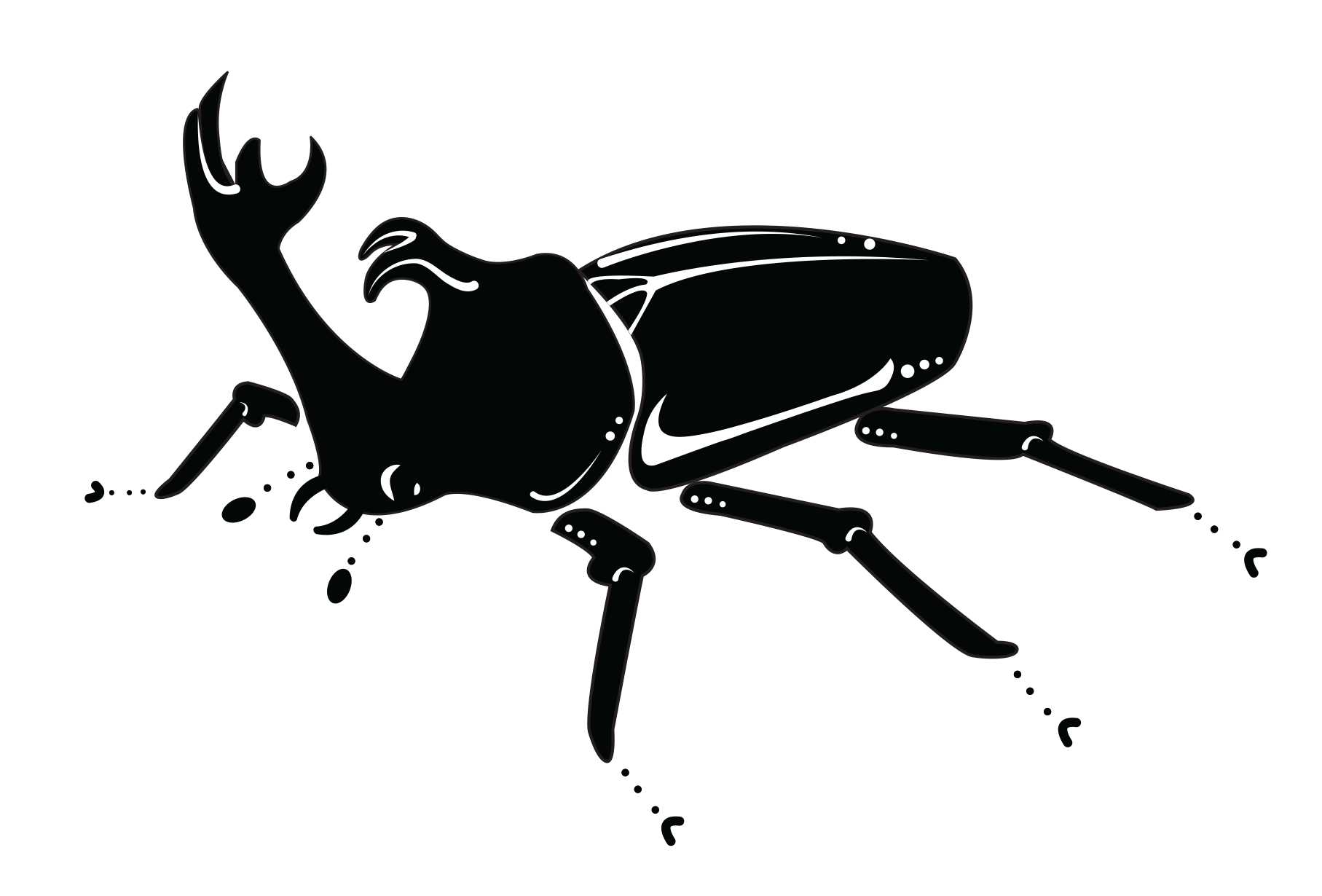 Sung-Ho Chang, Fall 2024, George Mason University, rhino beetle translation