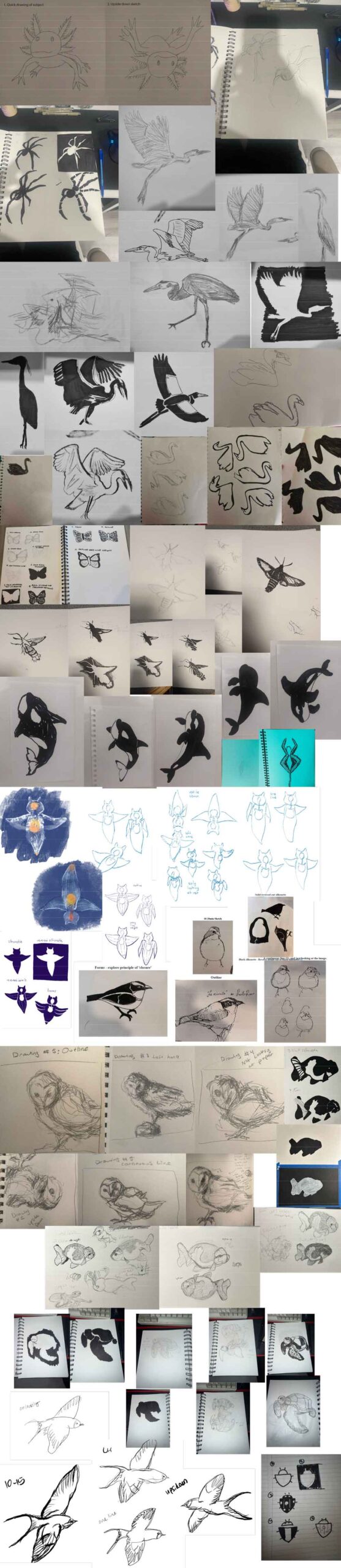 Drawing studies, Fall 2025, George Mason University