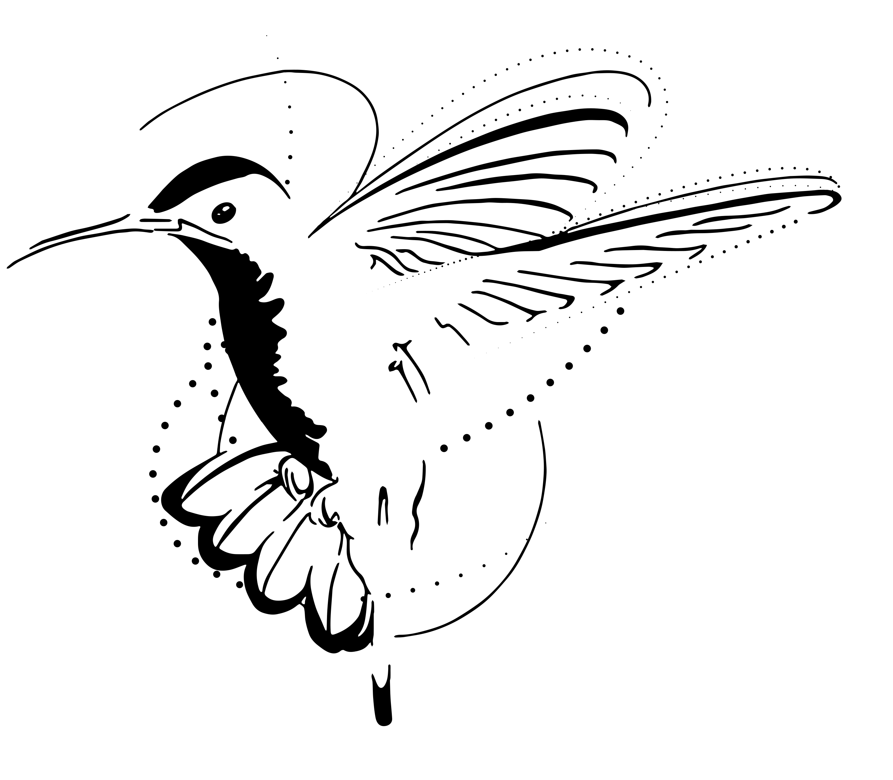 Hummingbird, Faith Rude Univ. Minn. Duluth, Fall 2022, graphic translation