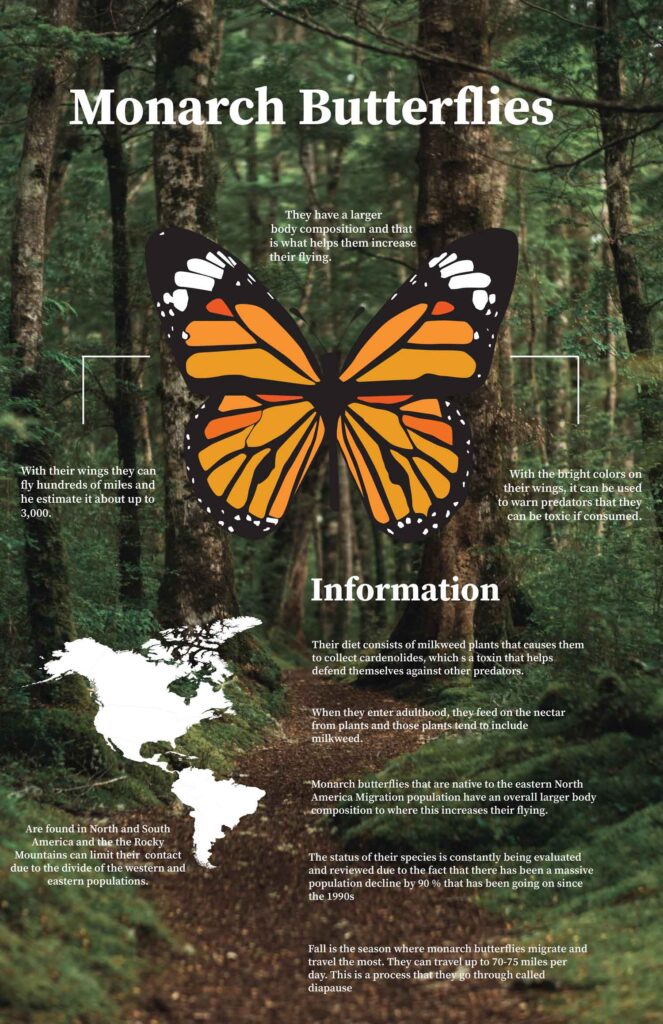 Anyia Field, Fall 2025, George Mason University, monarch butterfly infographic