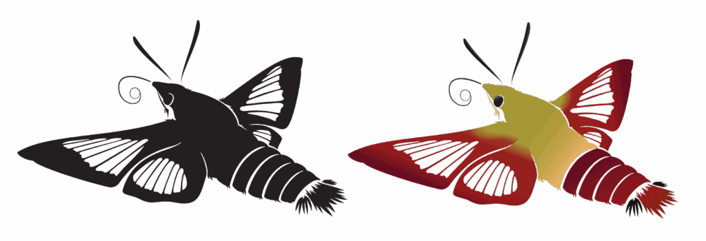 Mary Graft, Fall 2025, George Mason University, moth translation