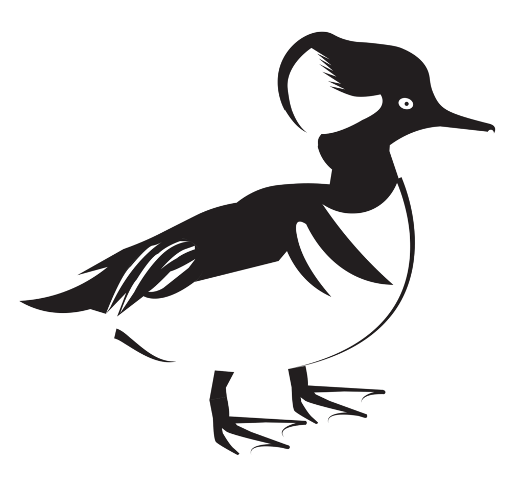 Grace High, Fall 2024, George Mason University, duck translation