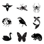 Translations reduced in size ad modified to serve as smaller icons