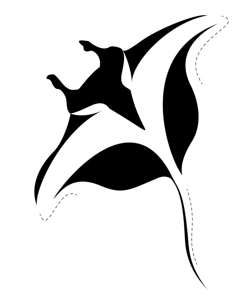 Manta Ray, Erica Krahn, Univ. Minn. Duluth, Fall 2022, graphic translation