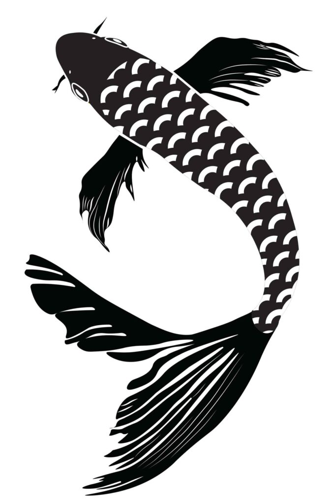 Kera Parham, Fall 2025, George Mason University, Koi Fish