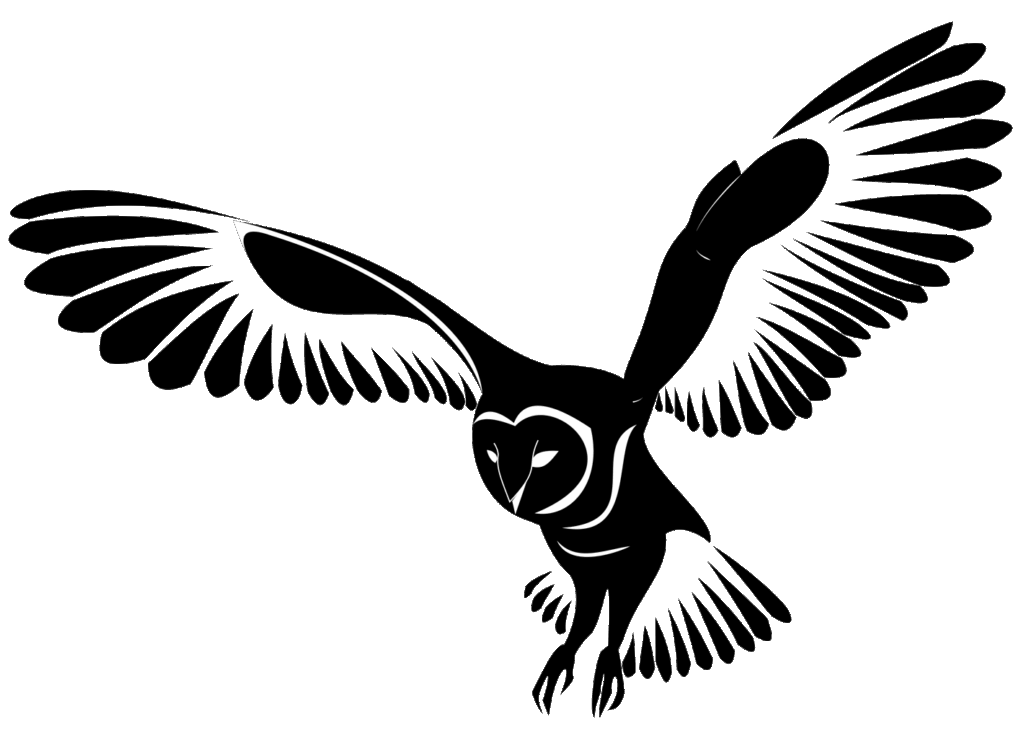 Kisha Russel, Fall 2025, George Mason University, owl translation