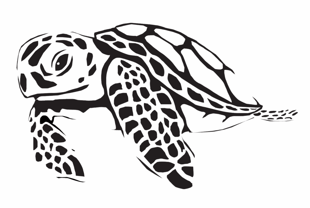 Eliab Shifferaw, Fall 2025, George Mason University, sea turtle translation