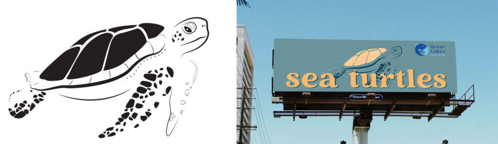 SeaTurtle, Jenna Wicht, Univ. Minn. Duluth, Fall 2022, graphic translation