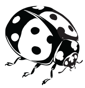 Kaiya Williams, Fall 2025, George Mason University, ladybug translation